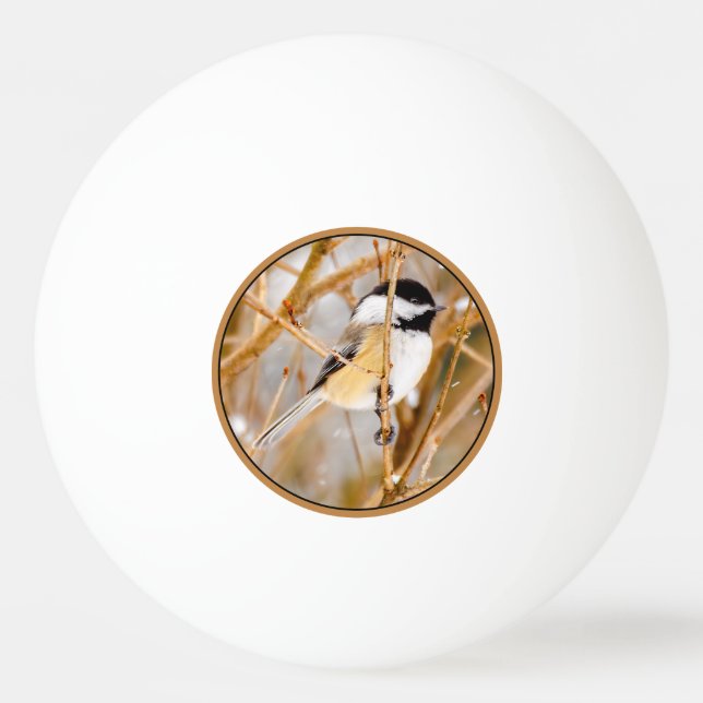 Pelota De Ping Pong Pollito de punta negra - Fotografía original (Anverso)