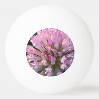 Pelota De Ping Pong Pretty Clover Flower 