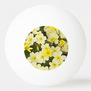 Pelota De Ping Pong Primrosis de primavera