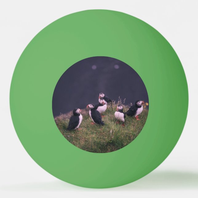 Pelota De Ping Pong Puffins atlánticos (Anverso)
