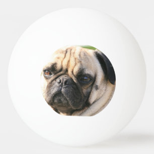 Pelota De Ping Pong pug-18