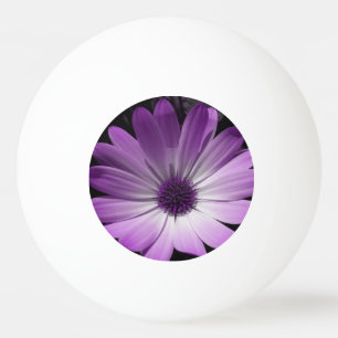 Pelota De Ping Pong Purple Daisy Flower Ping Pong Ball