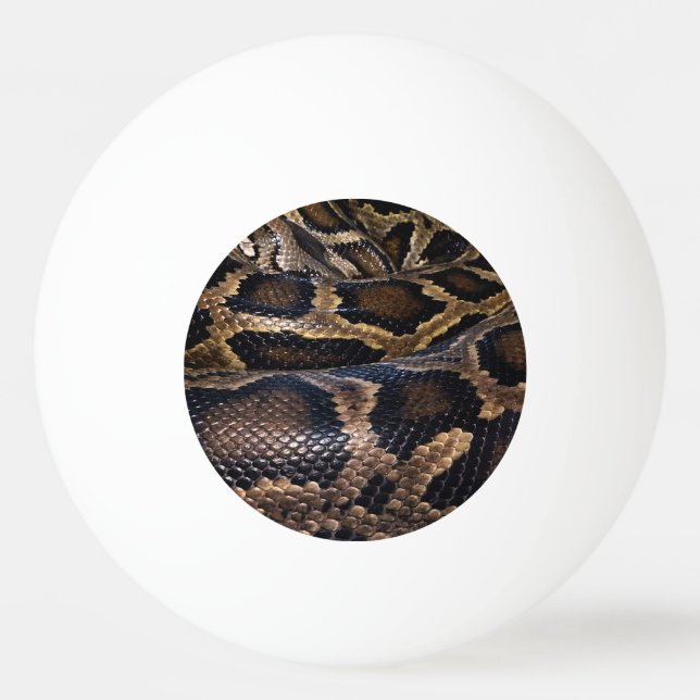 Pelota De Ping Pong Python (Anverso)