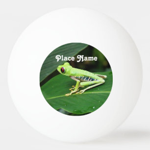 Pelota De Ping Pong Rana arbórea de Costa Rica