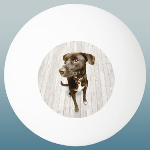 Pelota De Ping Pong Recuerdo de tu foto favorita de tu mascota