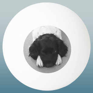 Pelota De Ping Pong Recuerdo de tu foto favorita de tu mascota