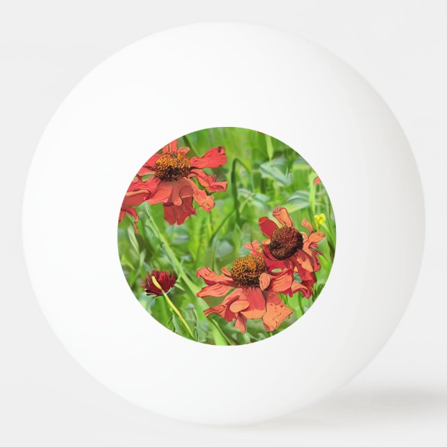 PELOTA DE PING PONG RED RUDBECKIA FLOWERS (Anverso)