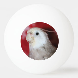 Pelota De Ping Pong Reeples