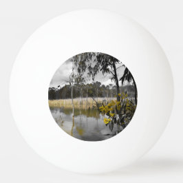 Pelota De Ping Pong Reflexiones bajo los cielos grises