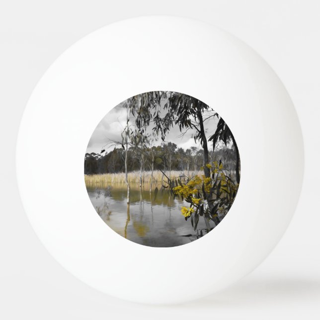 Pelota De Ping Pong Reflexiones bajo los cielos grises (Anverso)