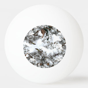 Pelota De Ping Pong Resumen de nieve