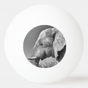 Pelota De Ping Pong Retrato de elefante