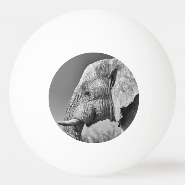 Pelota De Ping Pong Retrato de elefante (Reverso)