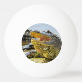 Pelota De Ping Pong Retrato de lagarto