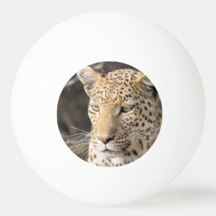 Pelota De Ping Pong Retrato de leopardo