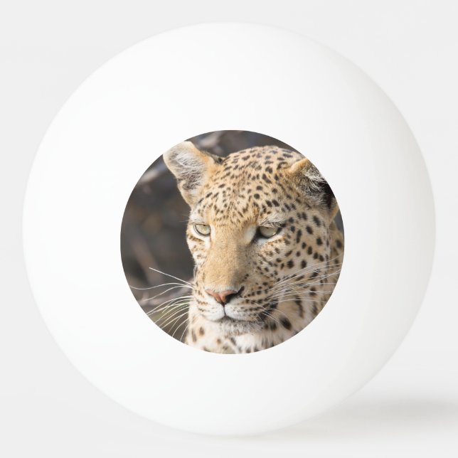 Pelota De Ping Pong Retrato de leopardo (Reverso)