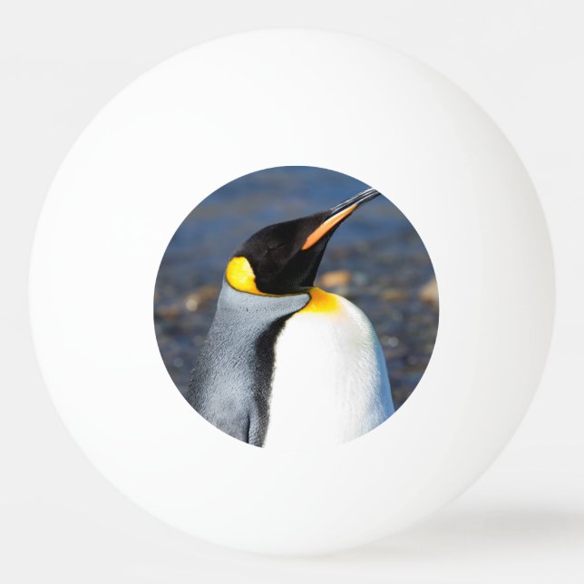 Pelota De Ping Pong Retrato pingüino (Reverso)