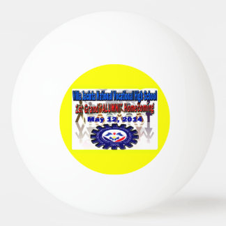 Pelota De Ping Pong Reunión de Villa Jacinta 2014