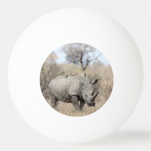 Pelota De Ping Pong Rinoceronte blanco