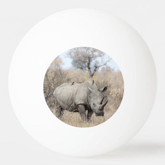Pelota De Ping Pong Rinoceronte blanco (Anverso)