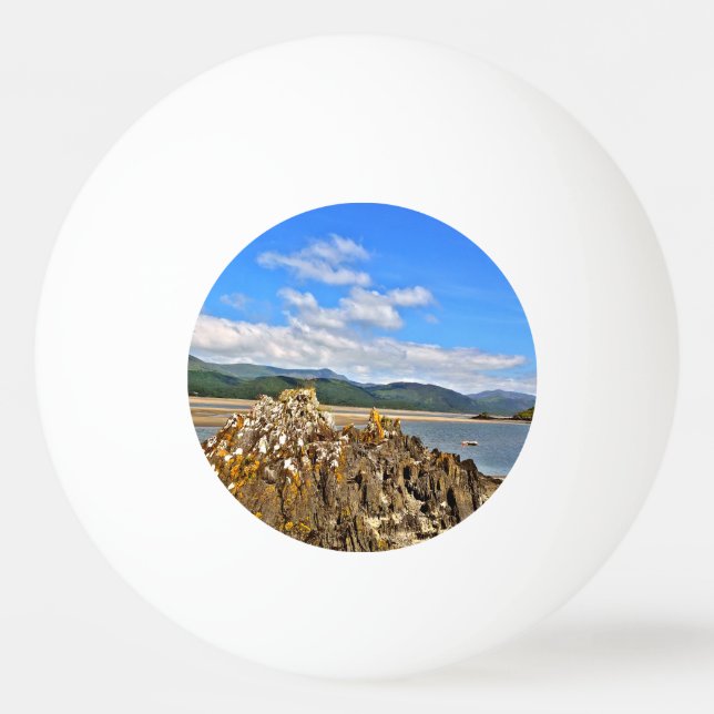 PELOTA DE PING PONG RÍO DE MAREA (Anverso)