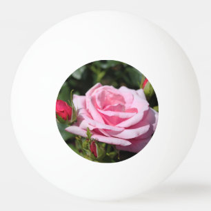 Pelota De Ping Pong rosa perfecta de color rosa y capullos. amor, amis