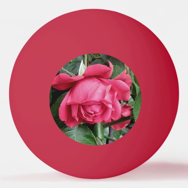 Pelota De Ping Pong Rosa rojo hermoso (Anverso)