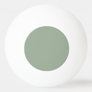 Pelota De Ping Pong Sage suave de color de tendencia