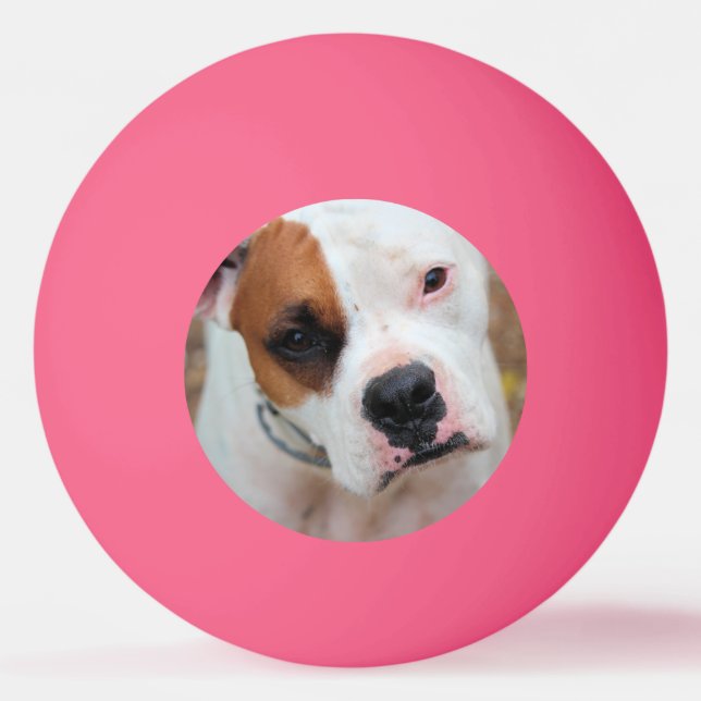 Pelota De Ping Pong Salto (Anverso)