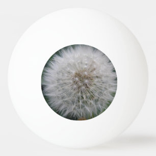 Pelota De Ping Pong Seeding Dandelia Flower Ping Pong Ball