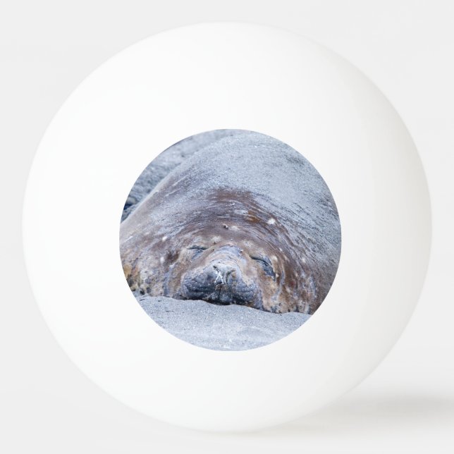 Pelota De Ping Pong Sello elefante (Reverso)