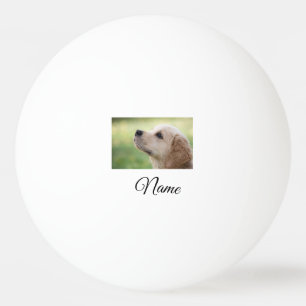Pelota De Ping Pong Simple y colorido animal añadir nombre personaliza