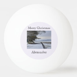 Pelota De Ping Pong Snowy Morning