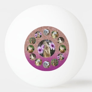 Pelota De Ping Pong Sorpresa De Meerkat Rosado, Ping Pong Ball