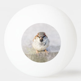 Pelota De Ping Pong Sparrow - El guerrero