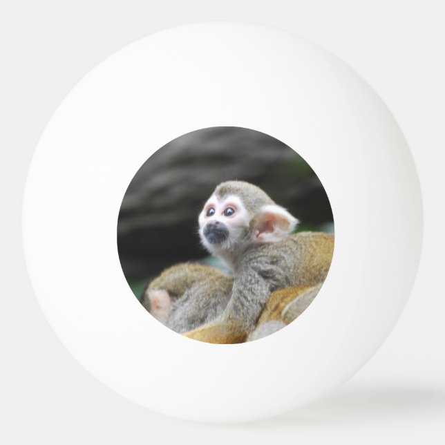 Pelota De Ping Pong squirrel-monkey-39.jpg (Anverso)