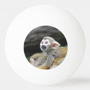 Pelota De Ping Pong squirrel-monkey-39.jpg
