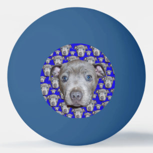 Pelota De Ping Pong Staffordshire Bull Terrier Puppy,