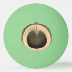 Pelota De Ping Pong Surreal Peacock Oye Ping Pong Ball