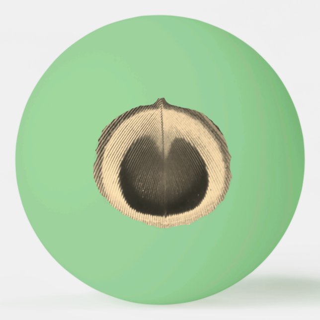 Pelota De Ping Pong Surreal Peacock Oye Ping Pong Ball (Anverso)