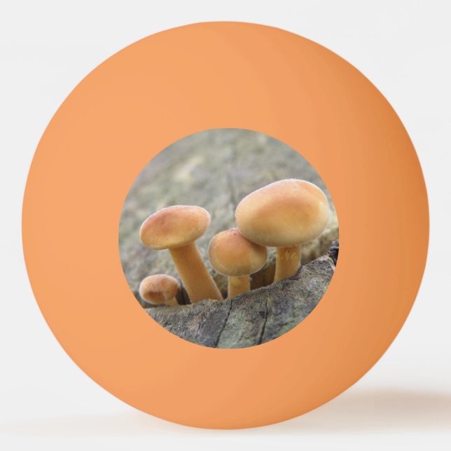 Pelota De Ping Pong Taburetes en un tronco de árbol (Reverso)