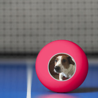 Pelota De Ping Pong Tamplate de perros
