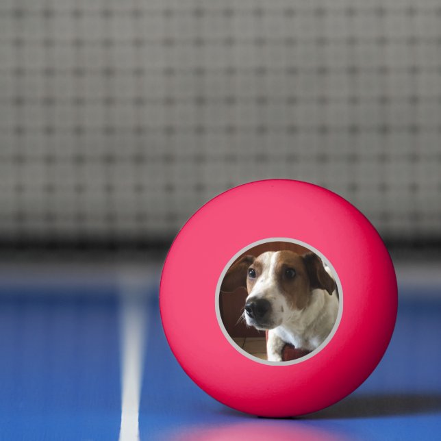 Pelota De Ping Pong Tamplate de perros (Neto)