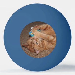 Pelota De Ping Pong Tater