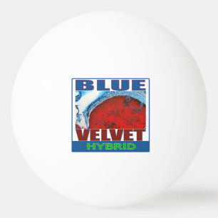 Pelota De Ping Pong TÉRMINO HIbrido blue VELVET