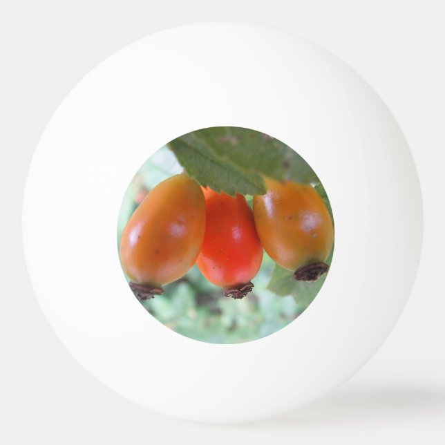 Pelota De Ping Pong Three orange rosehips (Anverso)