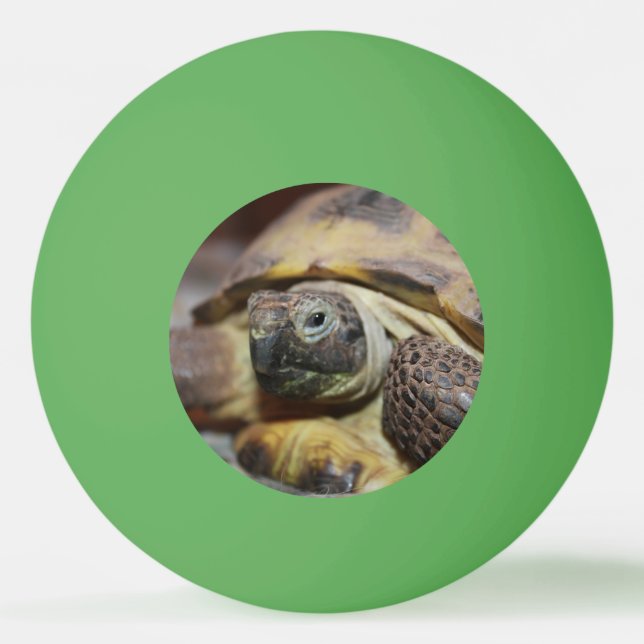 Pelota De Ping Pong Tibbs (Anverso)