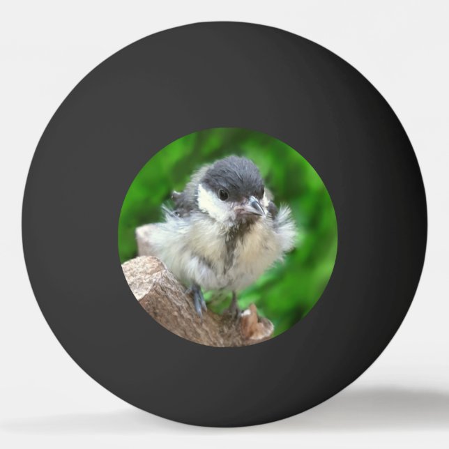 Pelota De Ping Pong Tidi my Bird the Parus Major (Anverso)