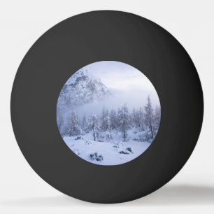Pelota De Ping Pong Tierras maravillosas del invierno, niebla, bosque