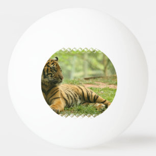 Pelota De Ping Pong tiger-28